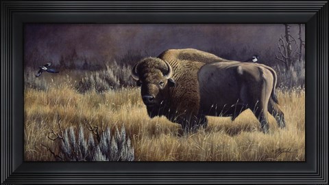Framed Bison And Magpies Print