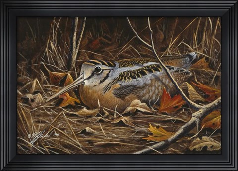 Framed Woodcock In Hiding Print
