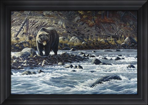Framed Along The Yellowstone - Grizzly Print