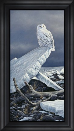 Framed Lakeshore Ice Print