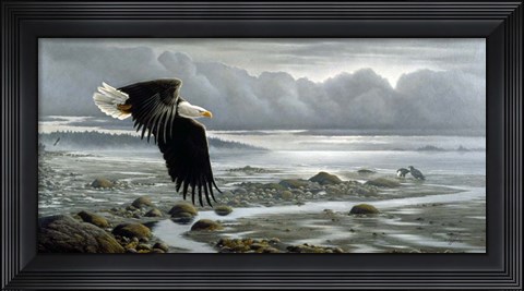 Framed Lowtide - Bald Eagle Print