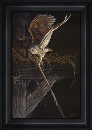 Framed Tight Rope Barn Owl Print