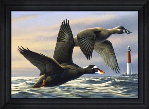 Framed Surf Scooters Print