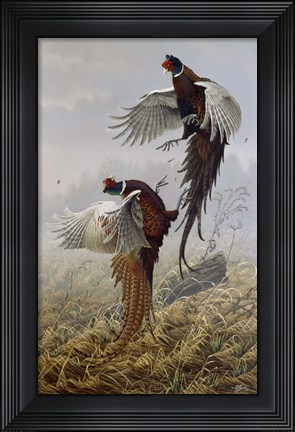 Framed Ringneck Rivalry Print