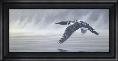 Framed Misty Flight Print