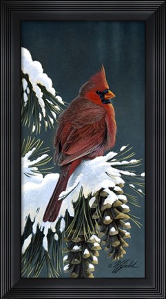 Framed Winter Cardinal Print