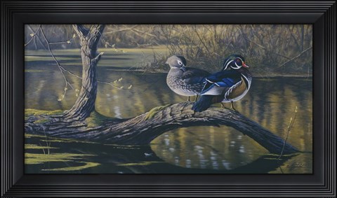 Framed Spring Pair - Wood Ducks Print