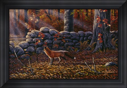 Framed Autumn Reds - Red Fox Print