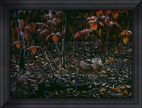 Framed Woodcocks World Print