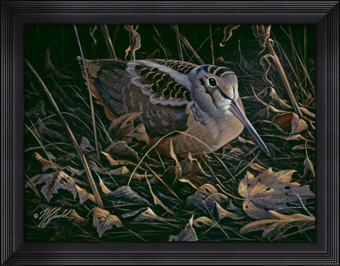 Framed Timberdoodle Print