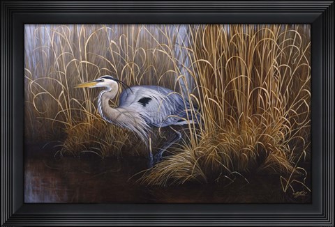 Framed Set In Gold - Great Blue Heron Print