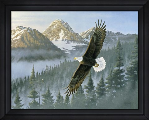Framed Soaring Eagle Print
