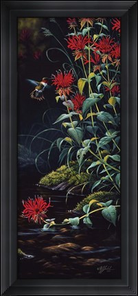 Framed Ruby Throated Hummingbird Print