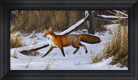 Framed Fox Trot  - Red Fox Print