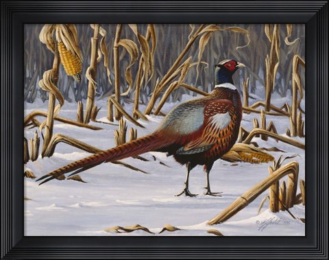 Framed Corn Row Ringneck Print