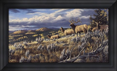Framed King Of The Hill - Elk Print