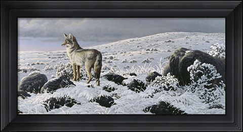 Framed Open Country - Coyote Print