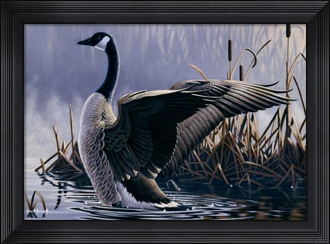 Framed 1992 Canada Goose Print