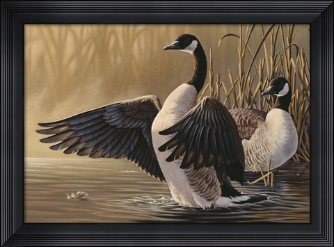Framed 1994 Canada Geese Print