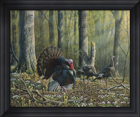 Framed Spring Beauties Print