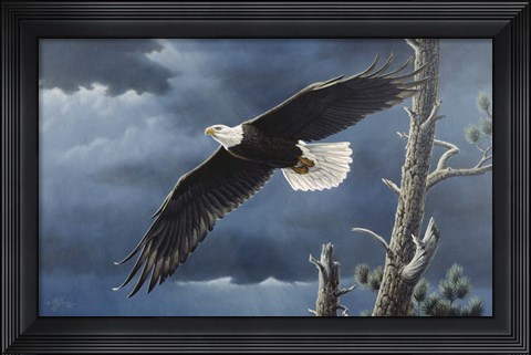 Framed Soaring Wings Print