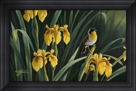 Framed Yellow Flags &amp; Yellowthroat Print
