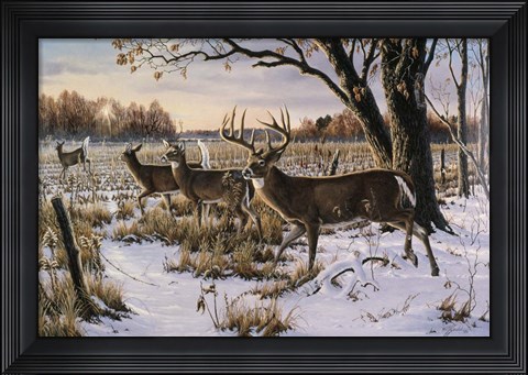 Framed Cautious Crossing - Whitetails Print