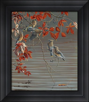 Framed Autumn Harvest - Cedar Waxwing Print
