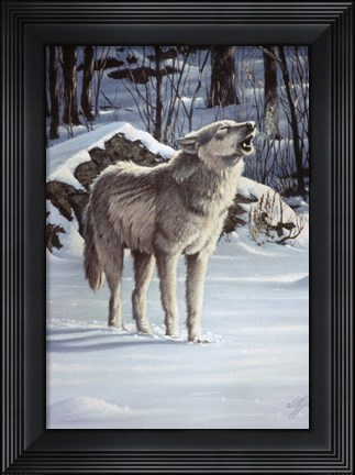 Framed Message For The Wind - Wolf Print
