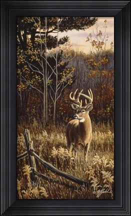 Framed Autumn Whitetail Print
