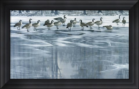 Framed Midwinter Thaw Print