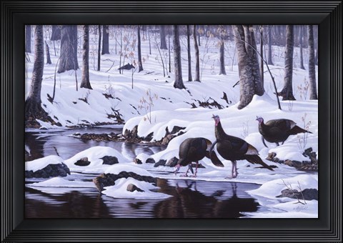 Framed Hardwood Creek - Wild Turkeys Print
