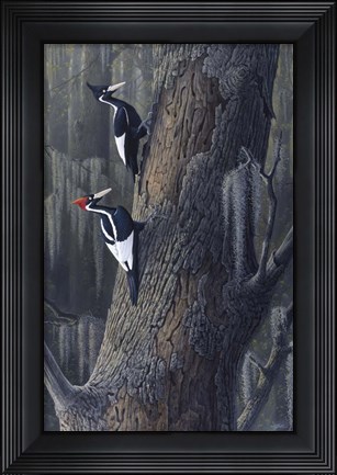 Framed Legends Of The Pearl Print