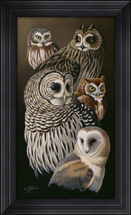 Framed Eyes Of The Night - Owls Print