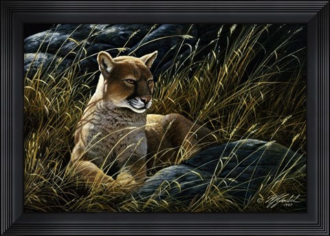 Framed Cougar In The Grass Print