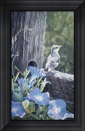 Framed Fledgling - Young Mockingbird Print