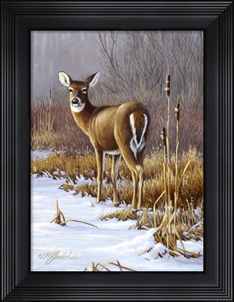 Framed On Alert Print