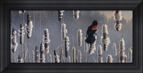 Framed Marsh Notes - Red Wing Blackbird Print