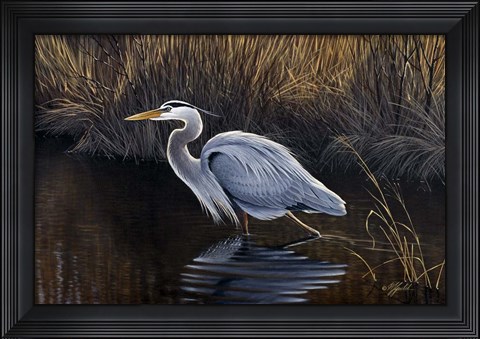 Framed Making Strides - Great Blue Heron Print