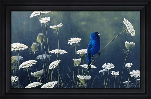 Framed Indigo &amp; Lace - Indigo Bunting Print