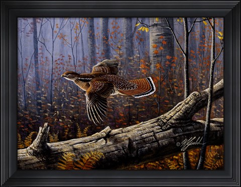 Framed Windfall Glider - Ruffed Grouse Print