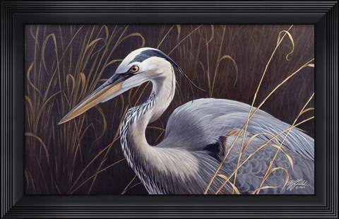 Framed Great Blue Heron Print
