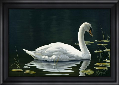 Framed Stillwater Print