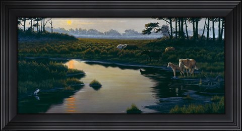 Framed Assateague Sunset Print