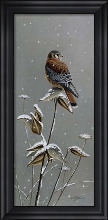 Framed Gentle Snowfall - Kestrel Print