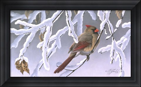 Framed Winter Lady - Cardinal Print