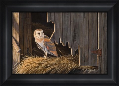 Framed Ready For The Hunt Barn Owl Print