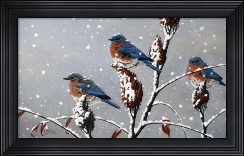 Framed Winter Trio Print