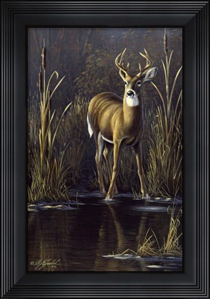 Framed Whitetail Buck Print