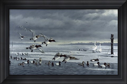 Framed Choptank Gathering Print